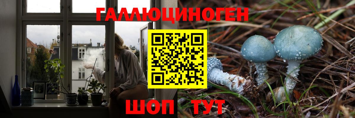 Псилоцибиновые грибы мицелий Ипатово